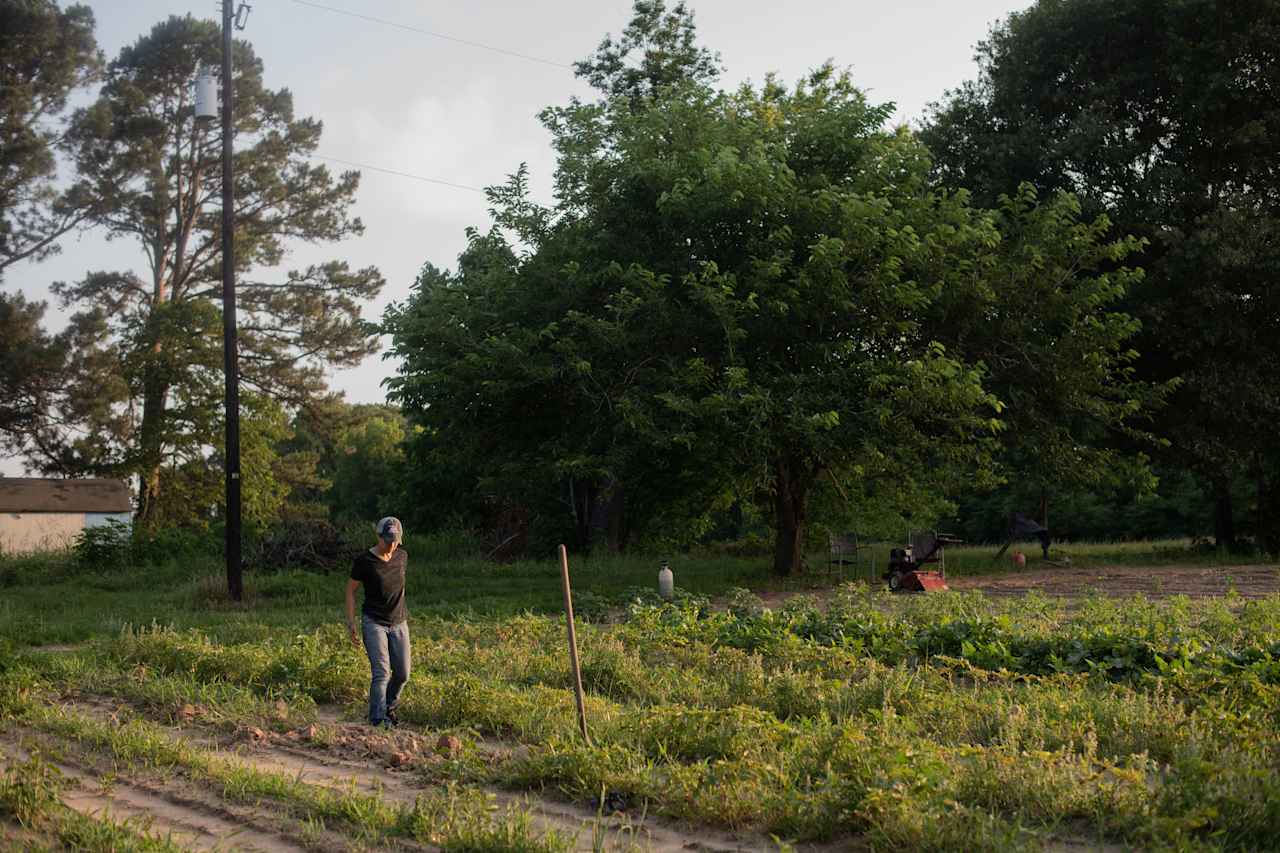 3Lfarm Trinidad TX