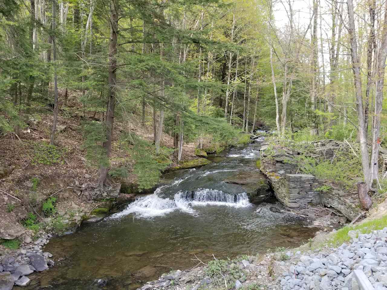 75 yards downstream from Donnas Drop-Off
