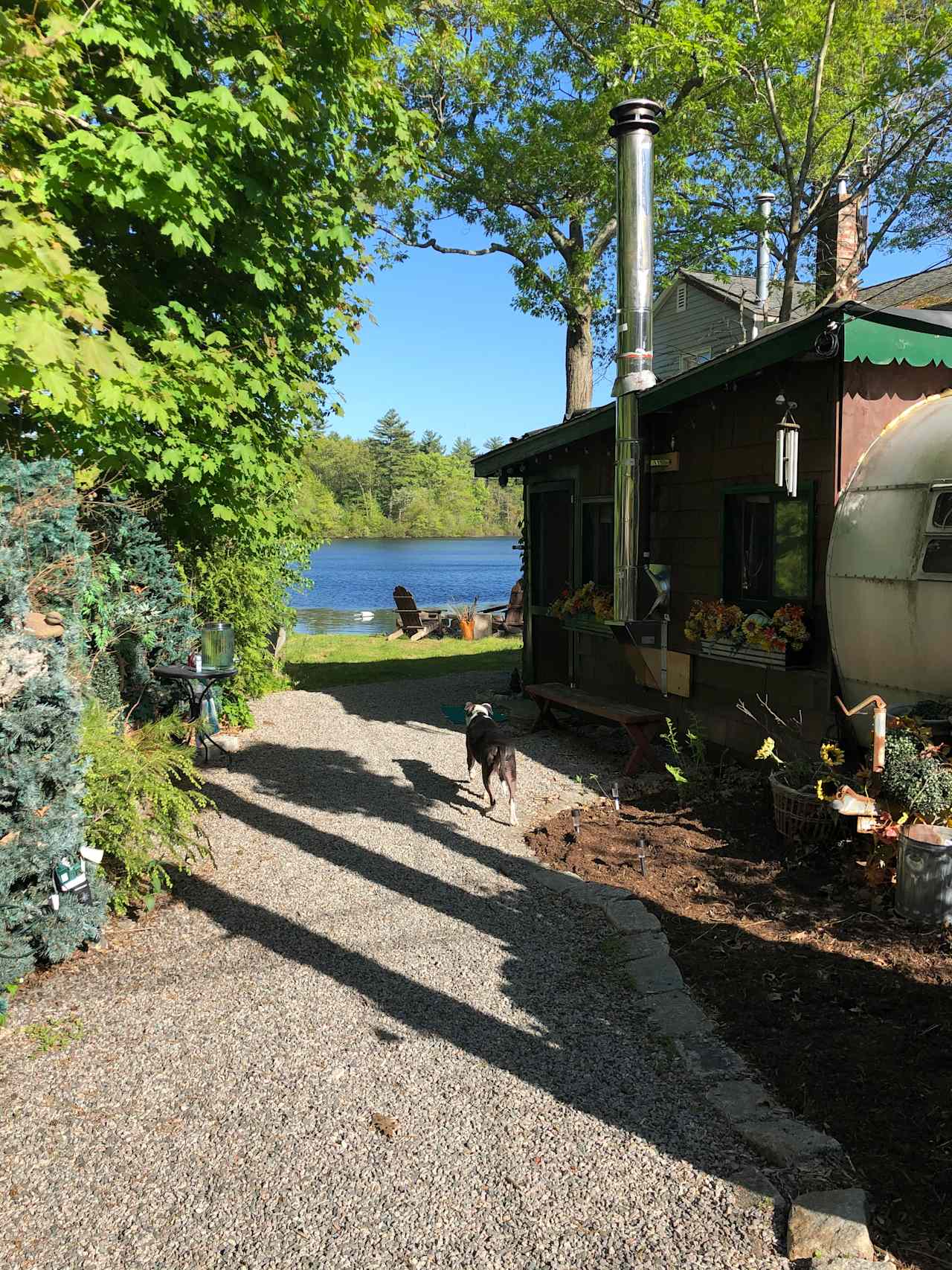 From the street to the camp door. Our pup exploring the place. 