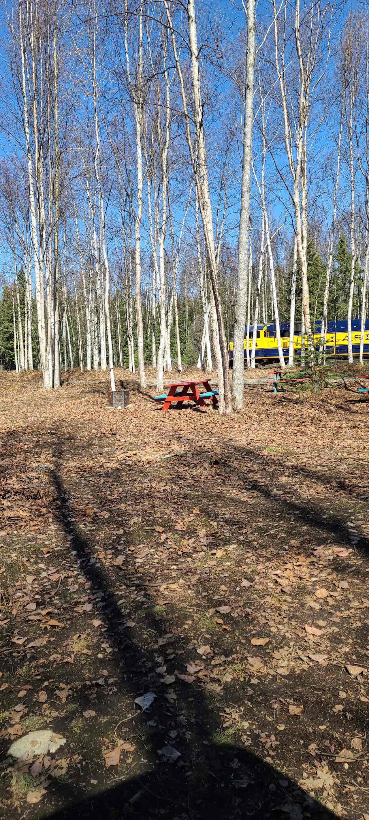 picnic tables and alaska railroad passing threw
