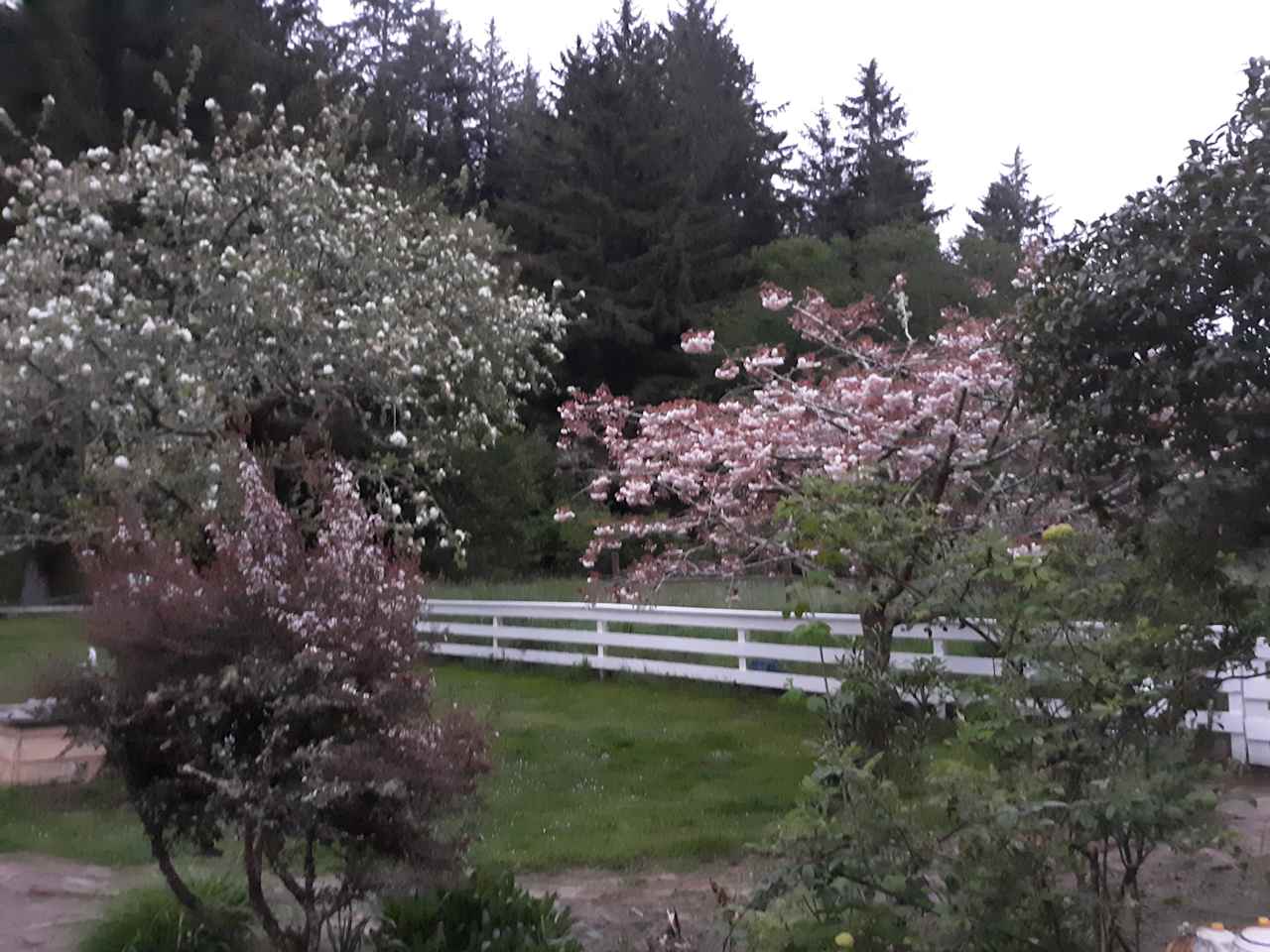 Wendy & John Farm