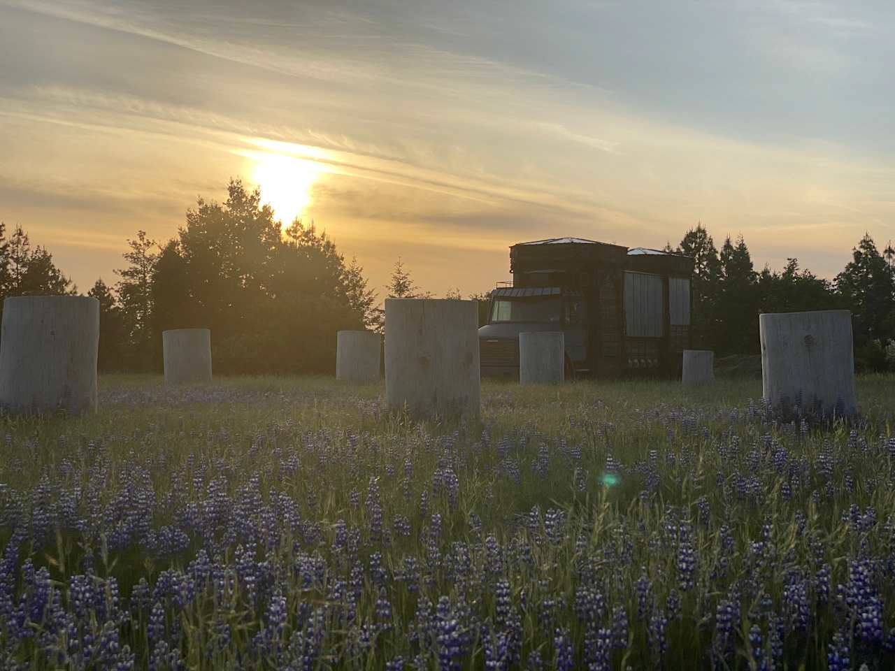 Another great sunset with Geometree art installation. One tree cut into 16/ths, sanded and smoothed, and put into a circle.