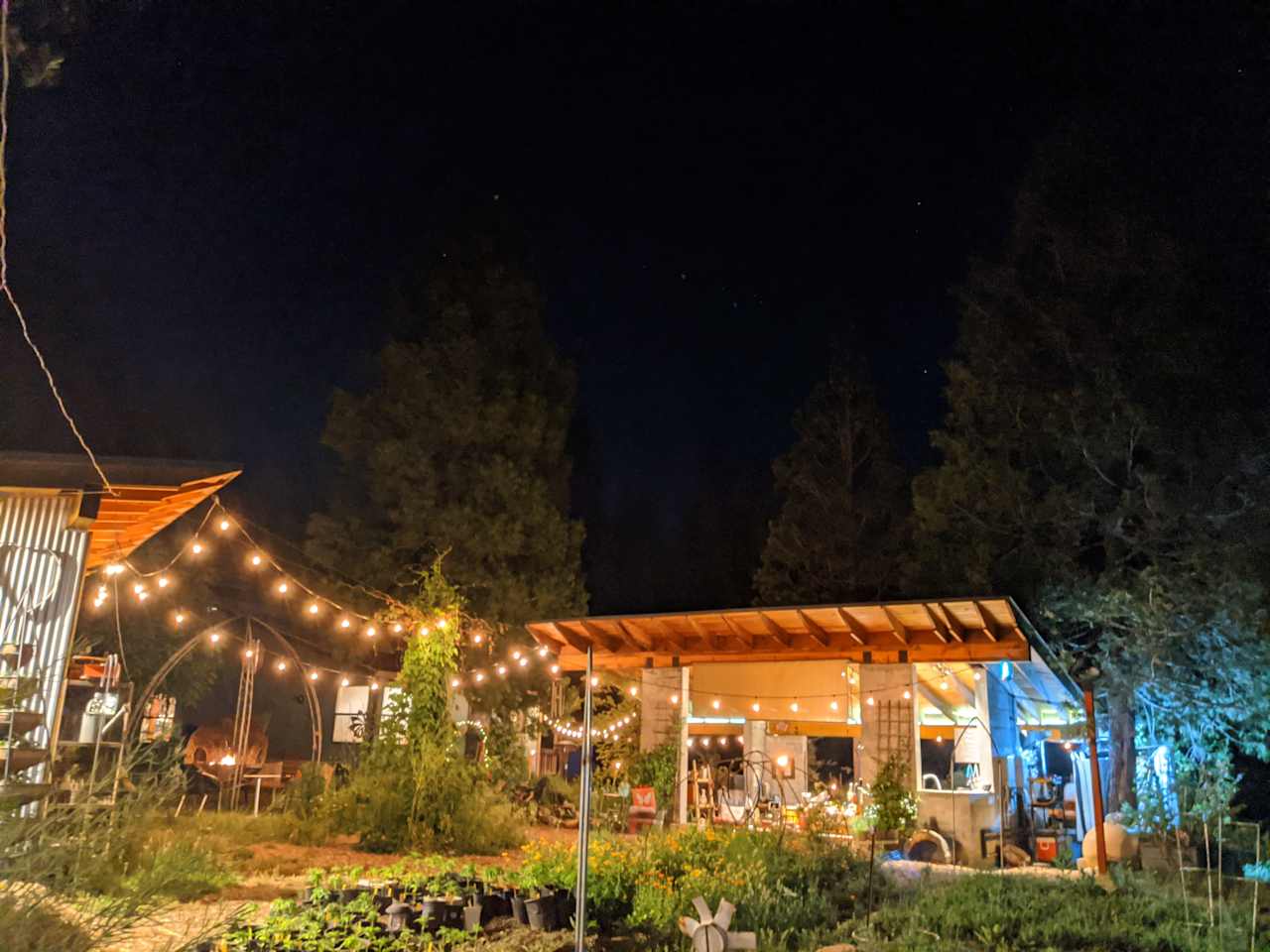 garden and kitchen