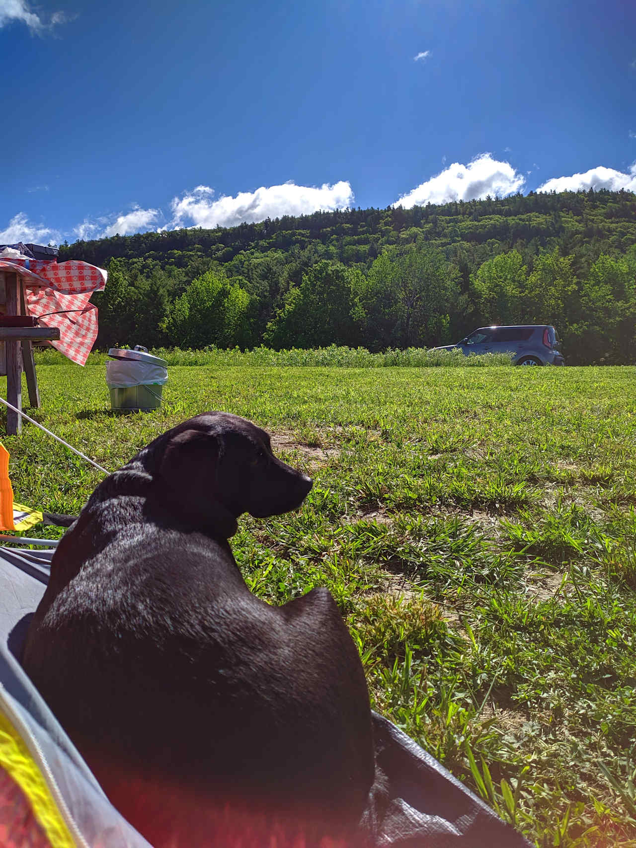 Campsite was stocked with a fire pit and 2 Adirondack chairs