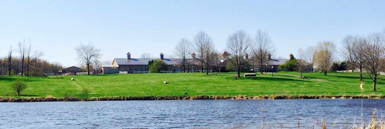 Pond, picnic area, stables, 