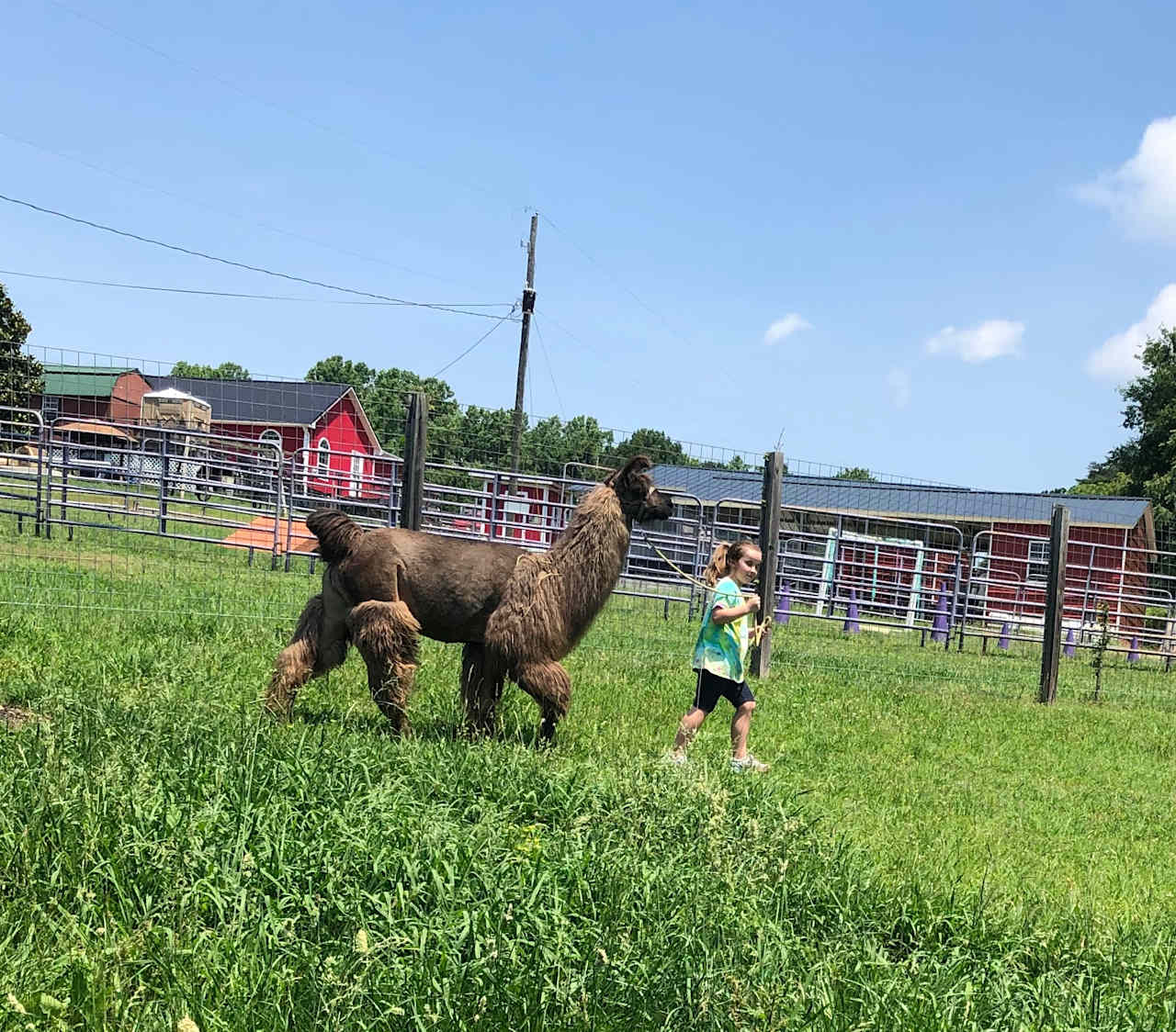 Infinity Acres Ranch