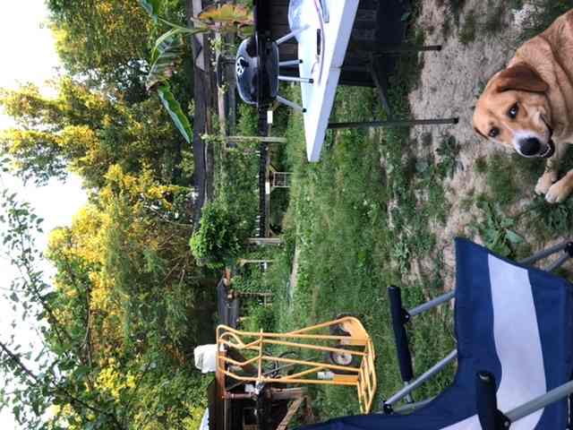 Brambleberry Permaculture Farm