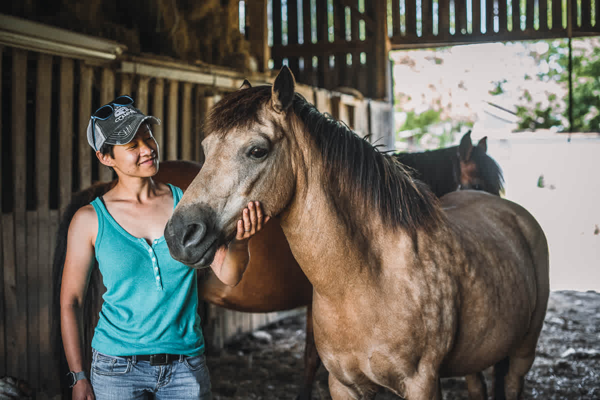 Such sweet ponies!