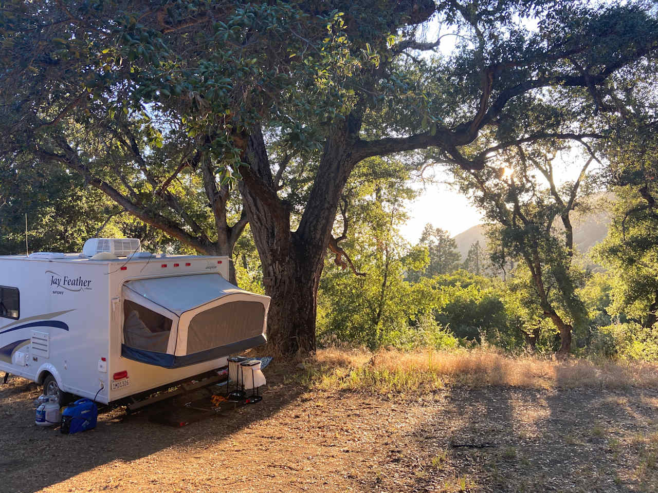 Magical Harrison Serenity Ranch