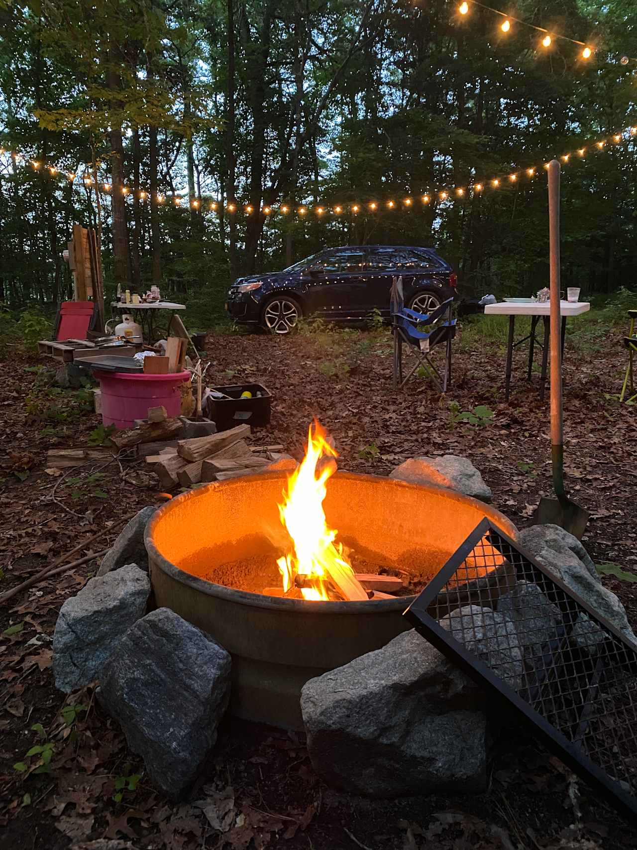 Shine & Rise Magic Food Forest