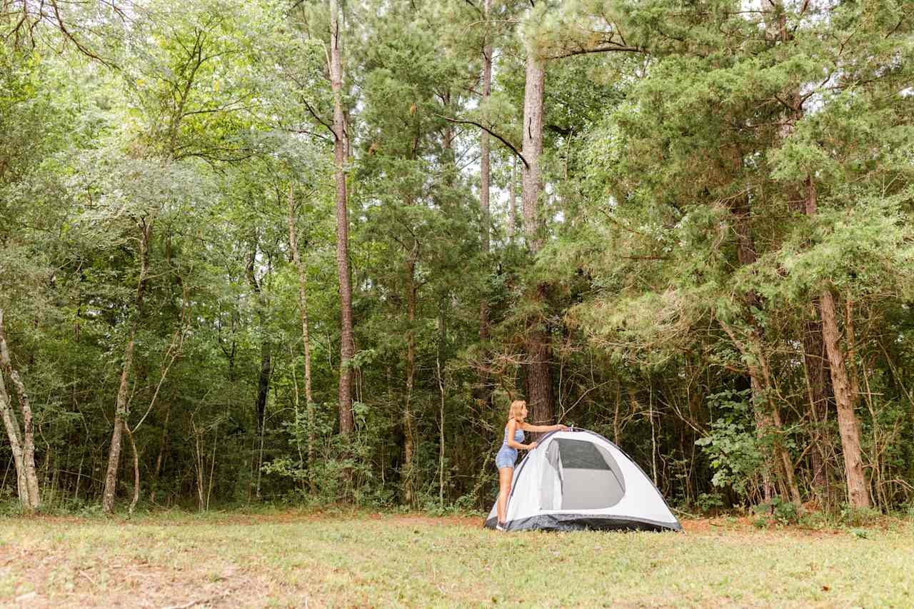 Surrounded by trees, this place boasts privacy and a quiet, relaxed experience.