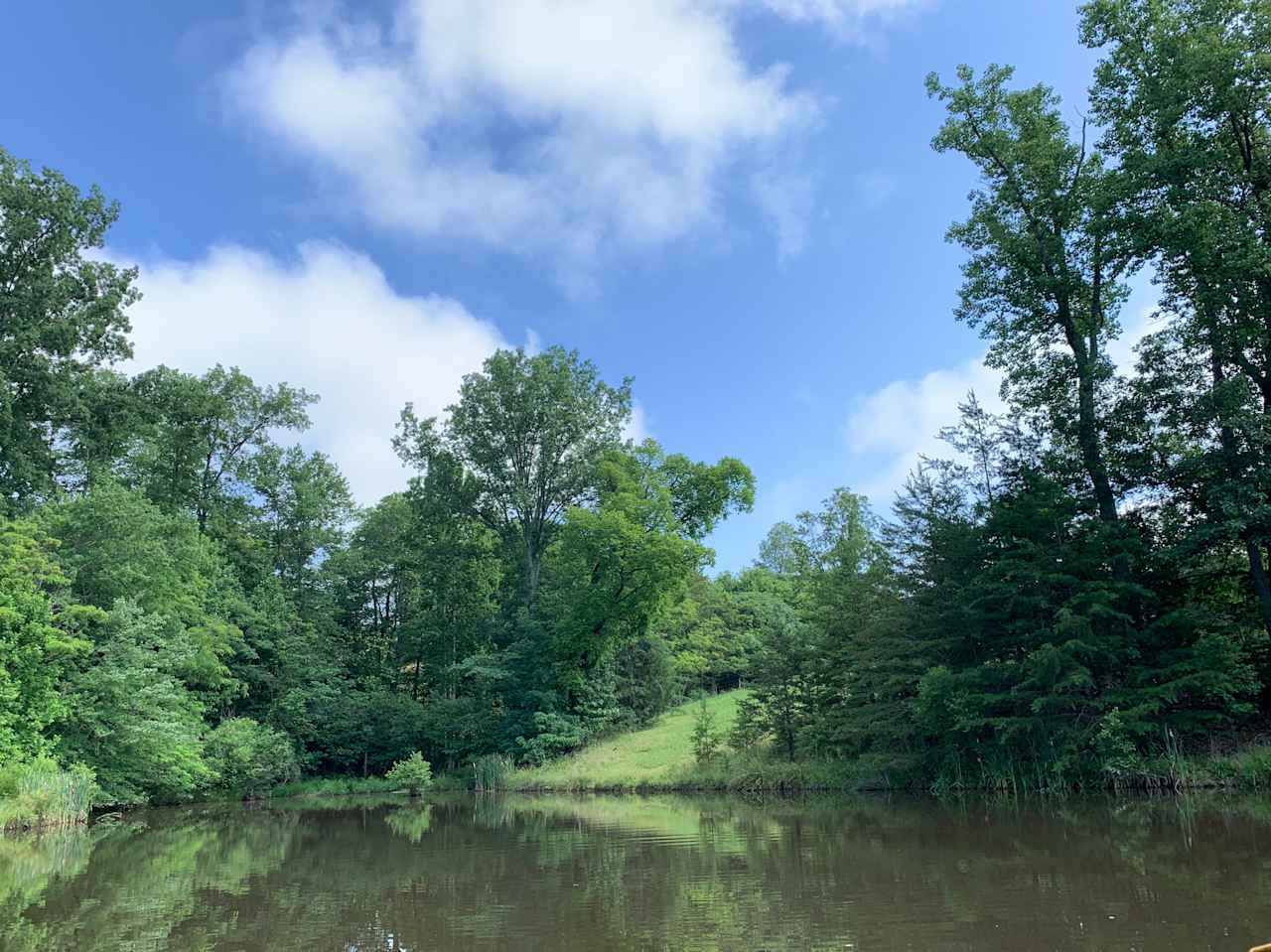 Infinity Acres Ranch