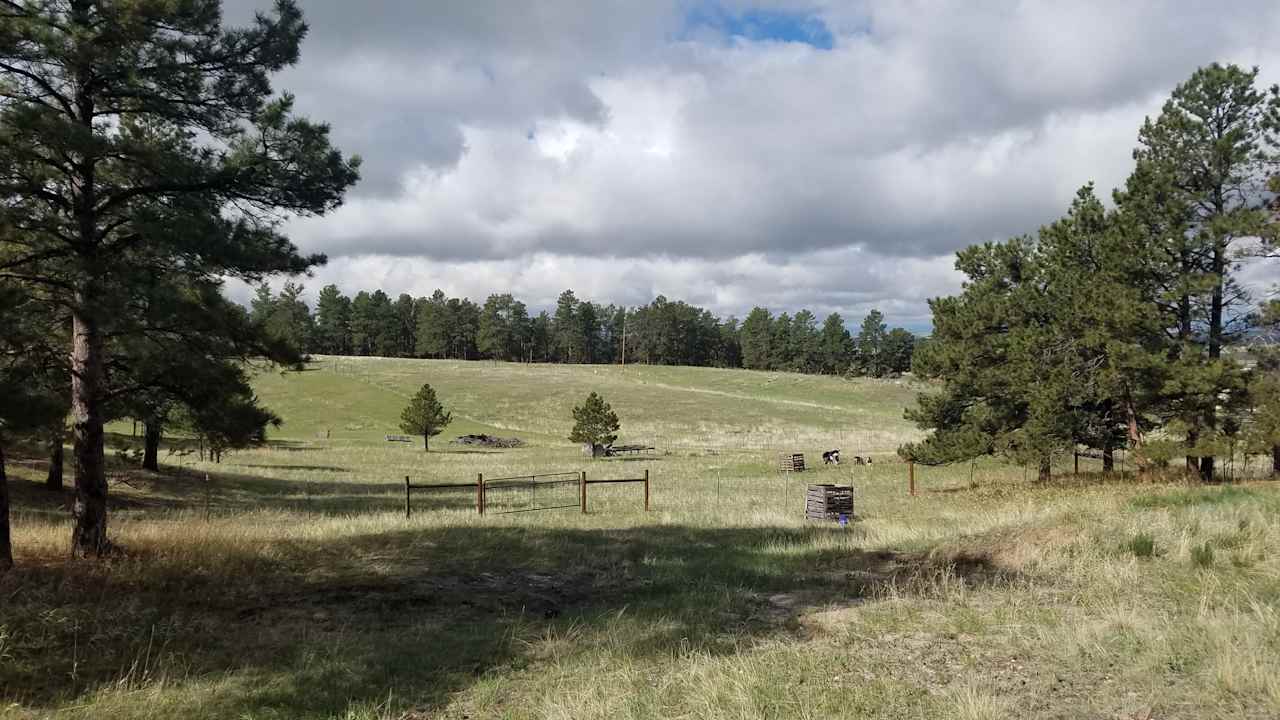 Falkor Ranch