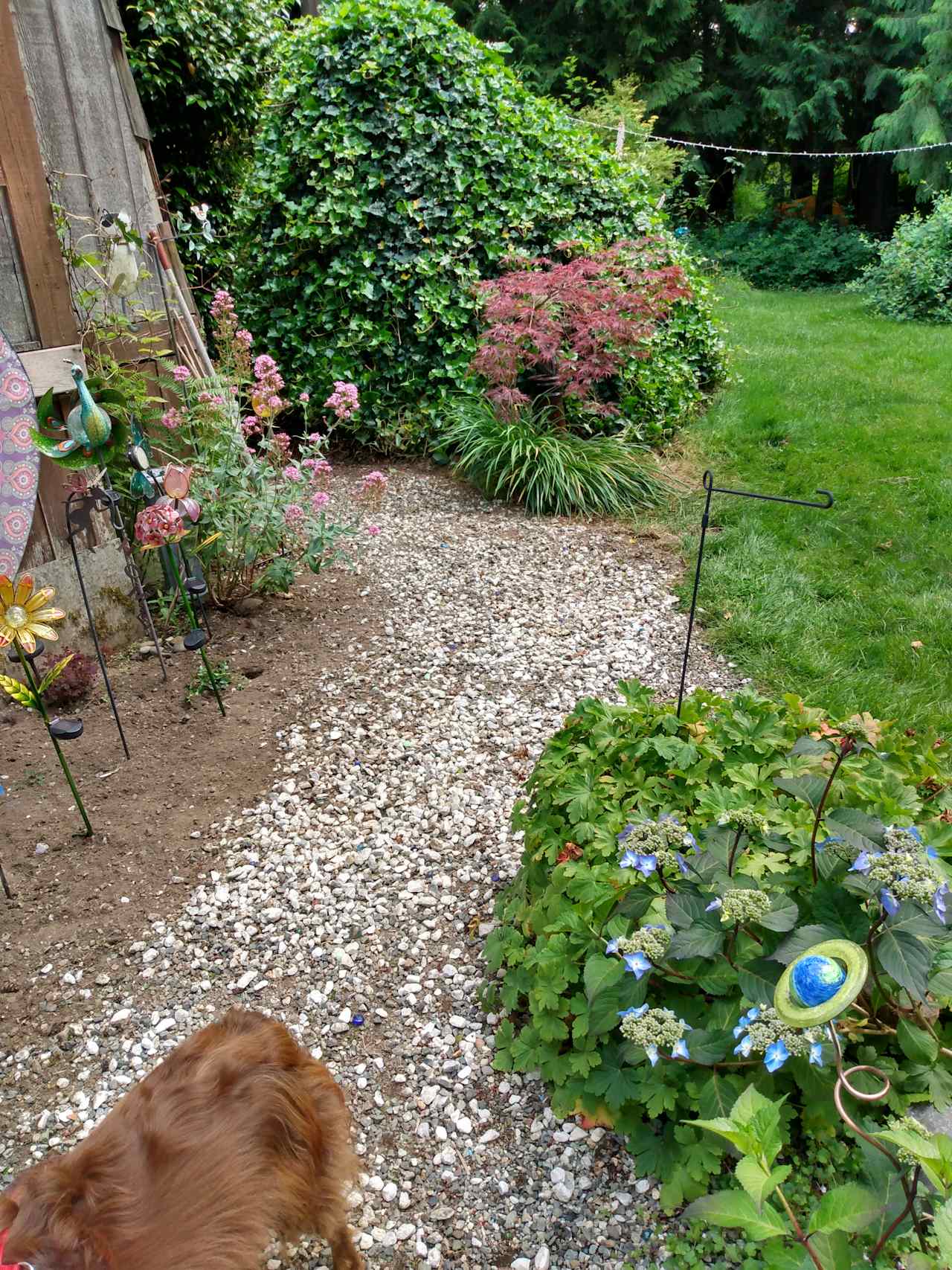 Path from front to back deck... 
What a lovely place to stay.  We've had 2 weddings there. Camp often and love the family who run Mother Earths Pocket!! 💕🦋
