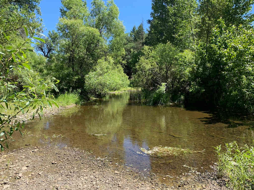 Ten Mile Creek (early summer)