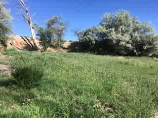 Camping area 3
