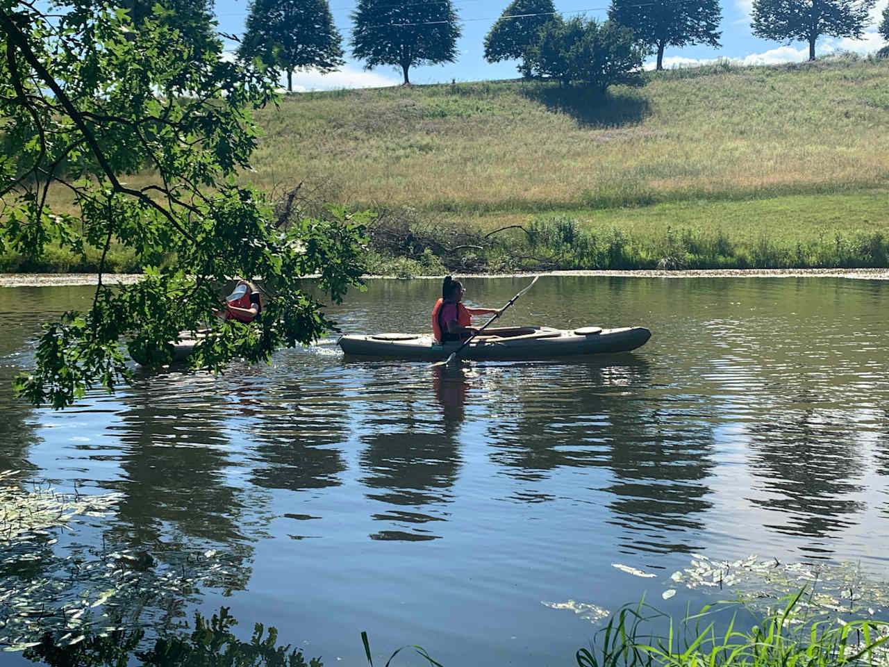 kayak on the pond or go swim with the fish