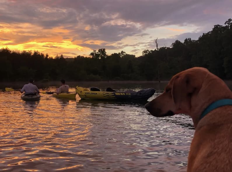 Your campsite is right on this lake cove, so it's great for swimming, kayaking and you'll see gorgeous sunsets over the water!