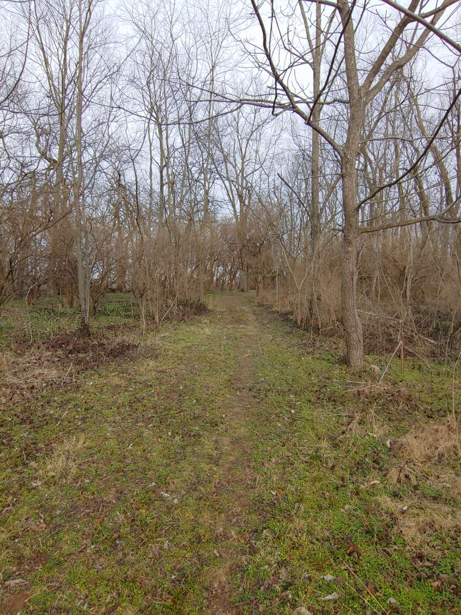 Hiking trail (winter)