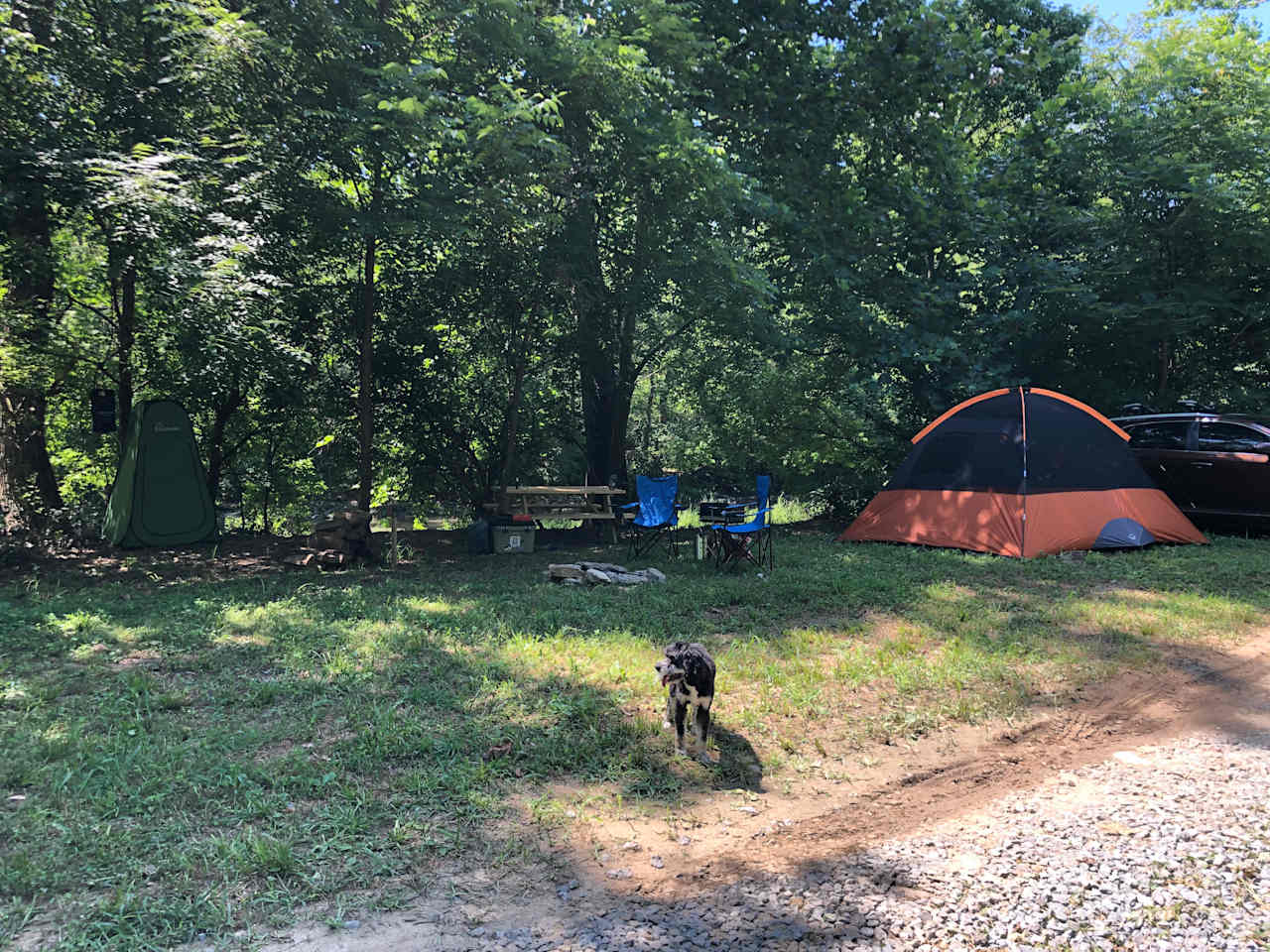 Campsite #2