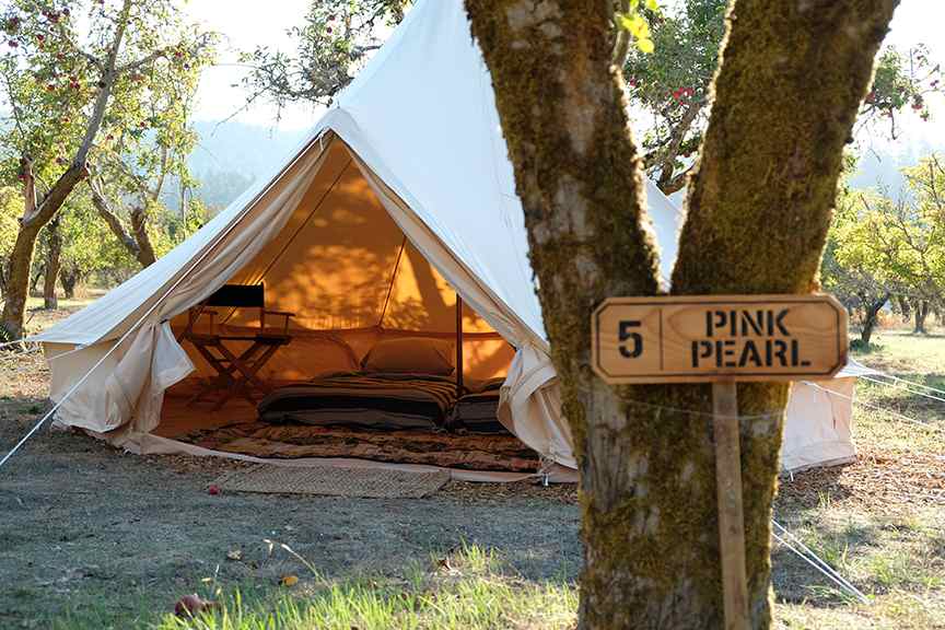 Pink Pearl glamping