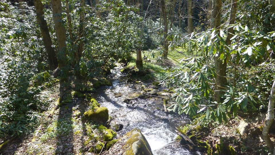 Indigo Eagle Sanctuary