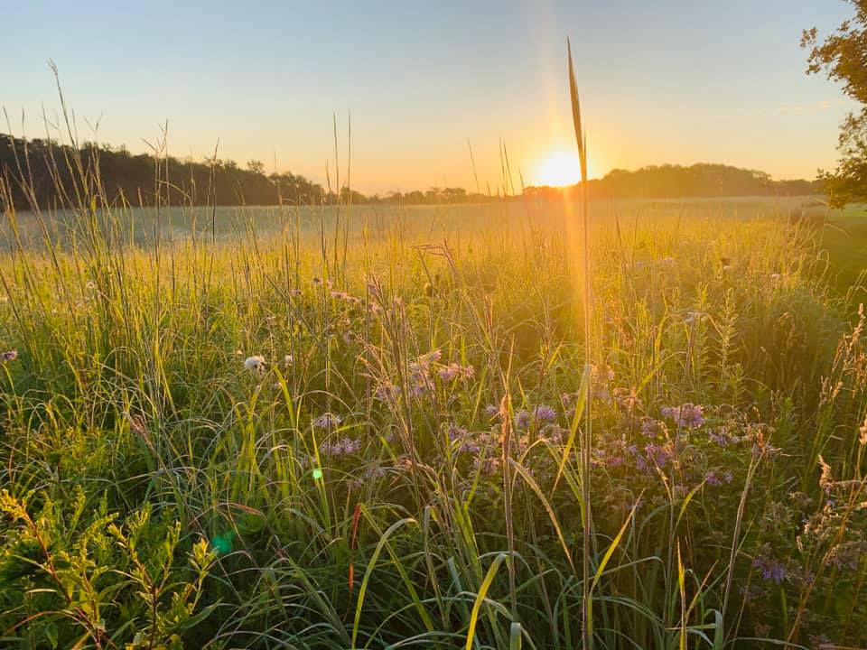Sunrise on the land.