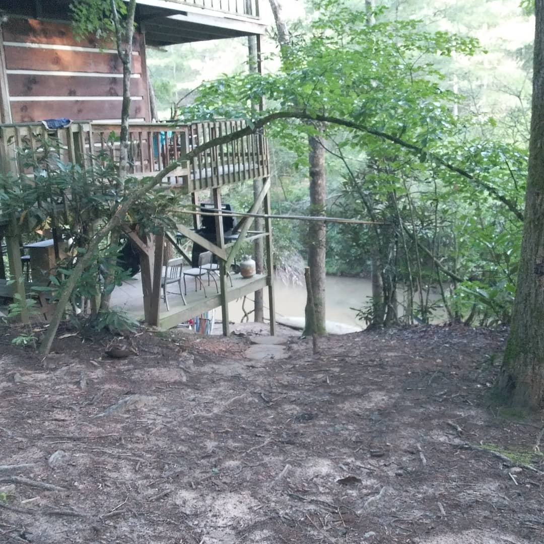 The tree has a welcoming archway to the river my son pointed out!