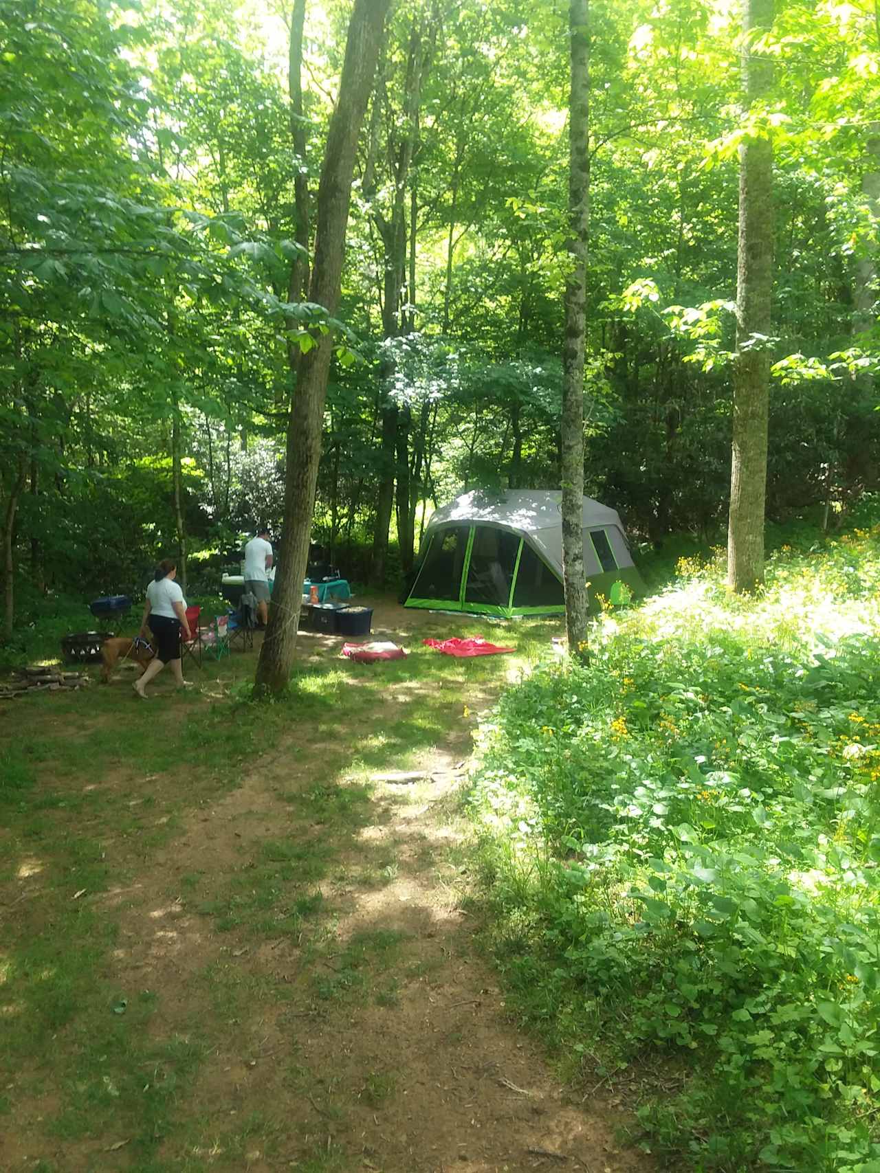 Site #1