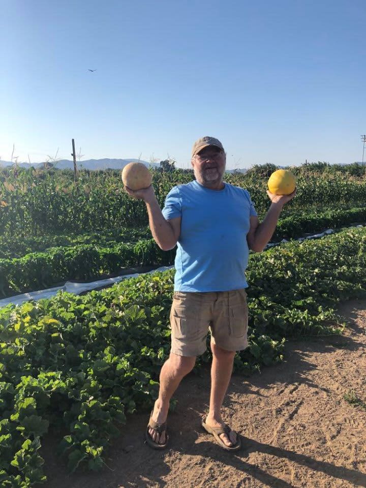 We are a working Organic Vegetable Farm! Our melons are ripe right now and the sweetest ever!