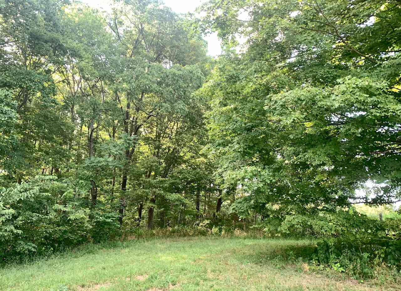 Open area near NW site