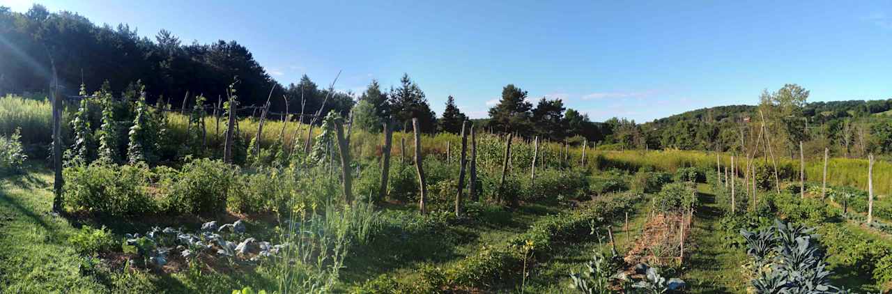 Our huge vegetable and fruit garden - garden tours available on request