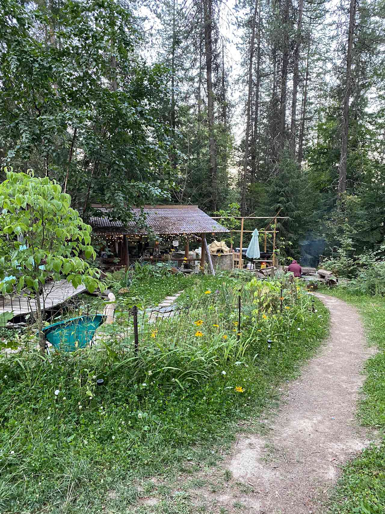 A Wee Place in the Woods