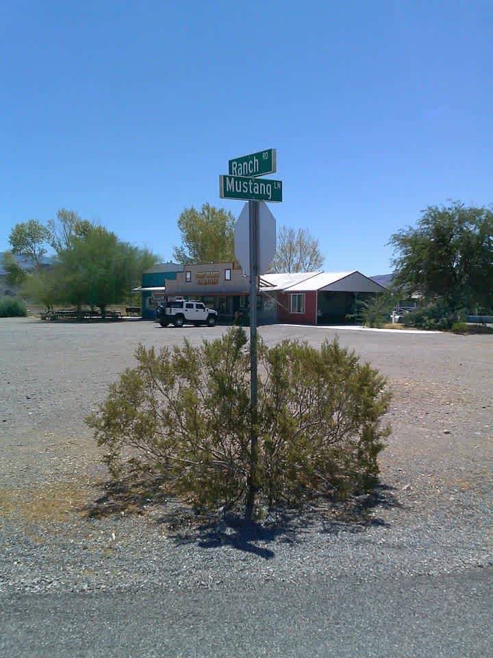Miss Kathy's Short Branch