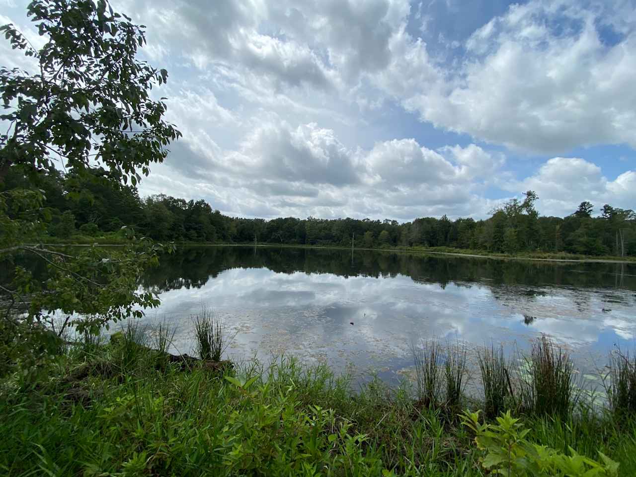 Private 17 acre shared lake