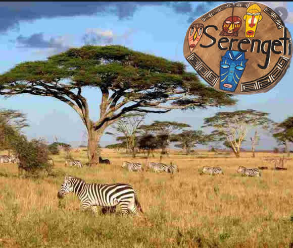 Zebras are extra