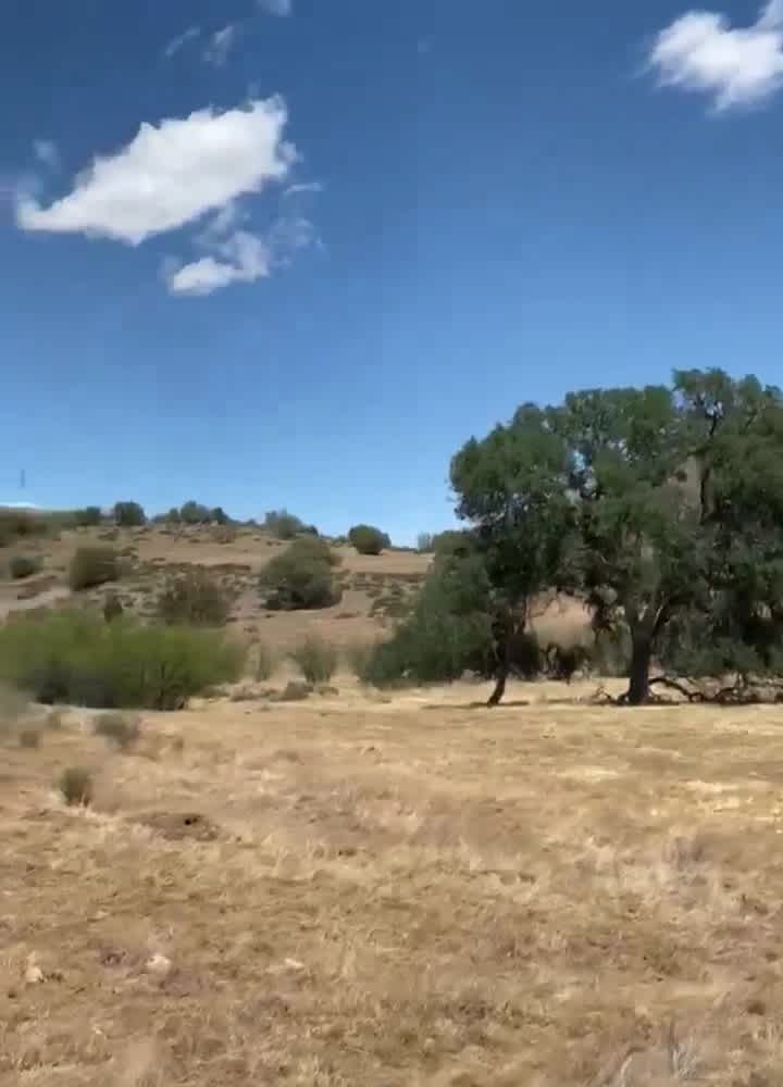 7V RANCH