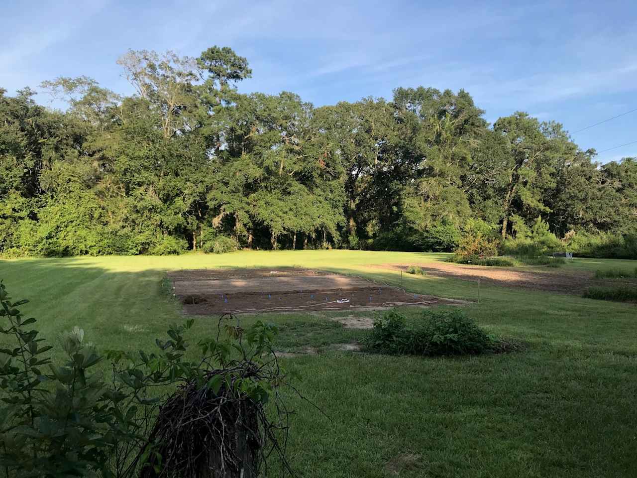 Main garden located in open pasture area.  Driveway is located to the right of the garden plots and gives access to pasture tent sites, 2 rv sites and Host's personal residence.