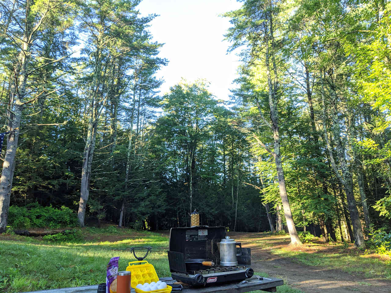 Camp in the woods