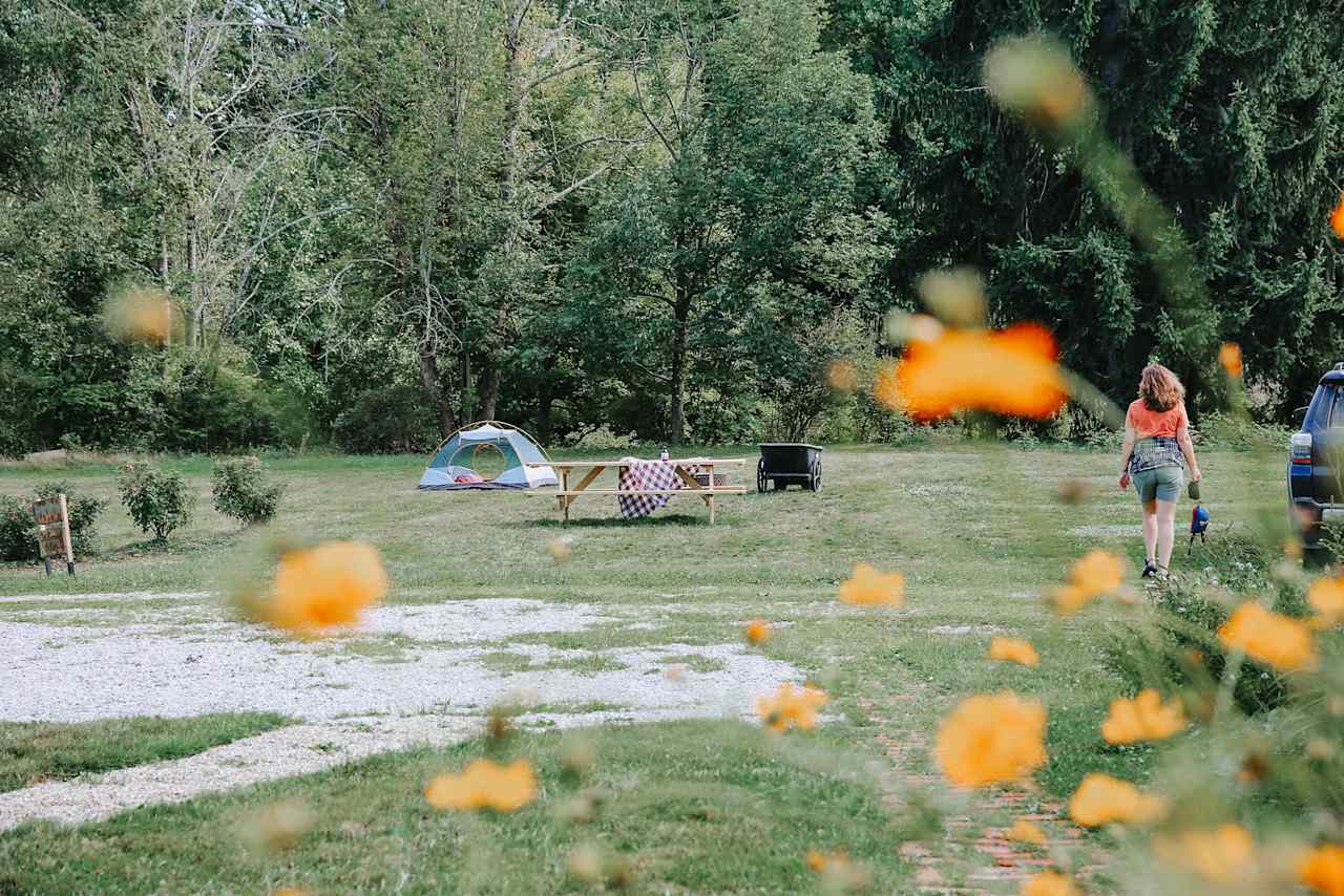 Our site. 