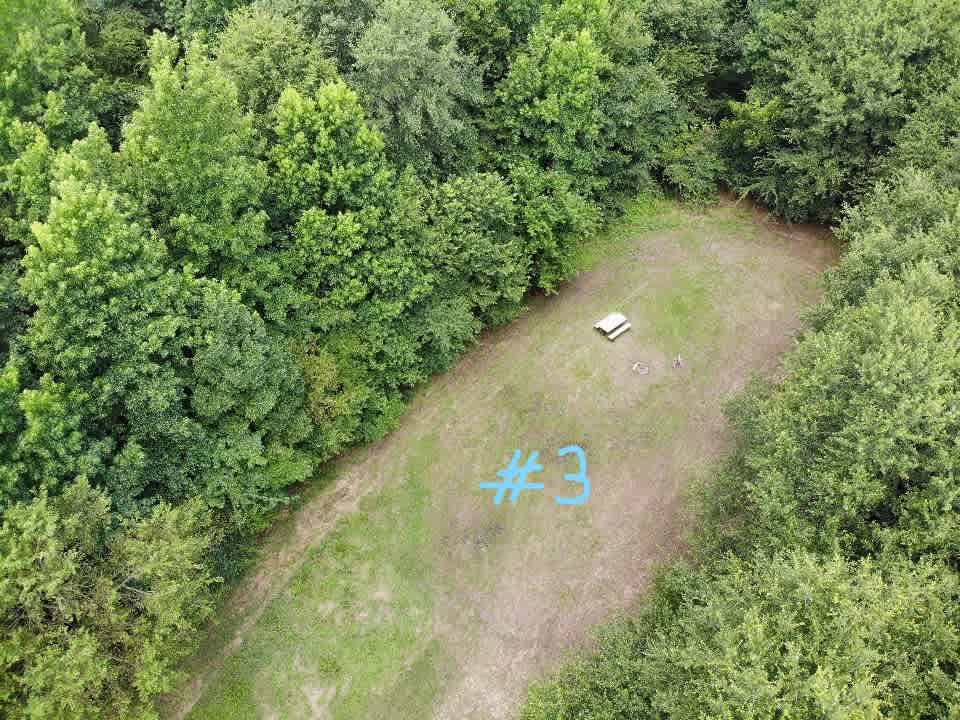 Site #3