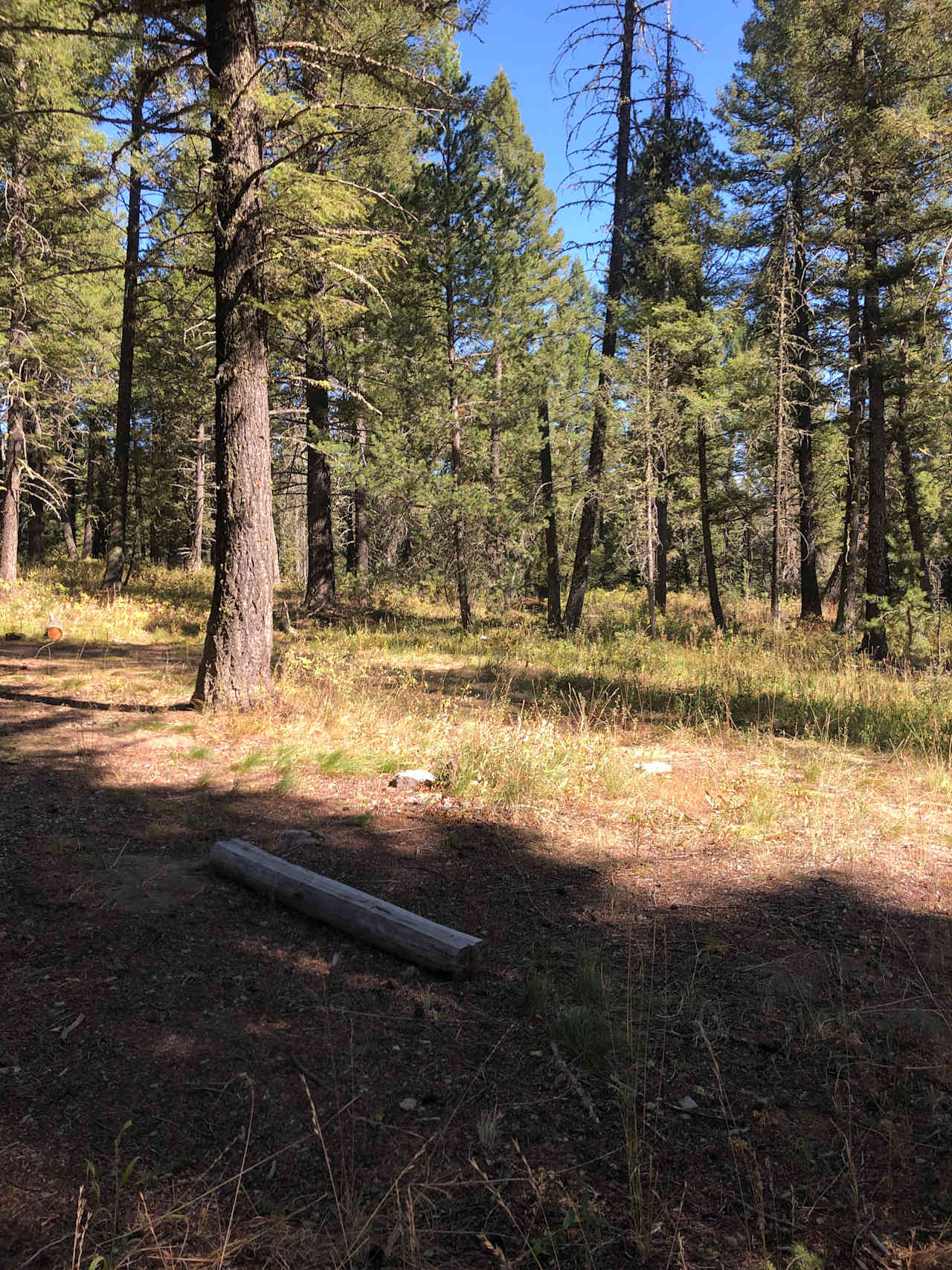 Part of the camping area