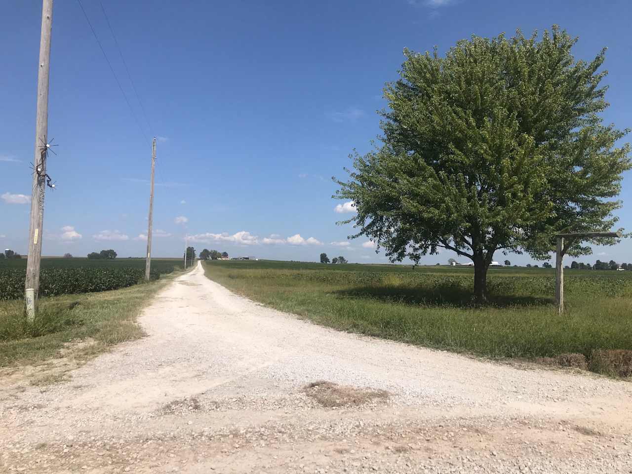 Driveway entrance. Half a mile to the top. Lone maple tree, salvaged metal art on the telephone pole with the number 262.