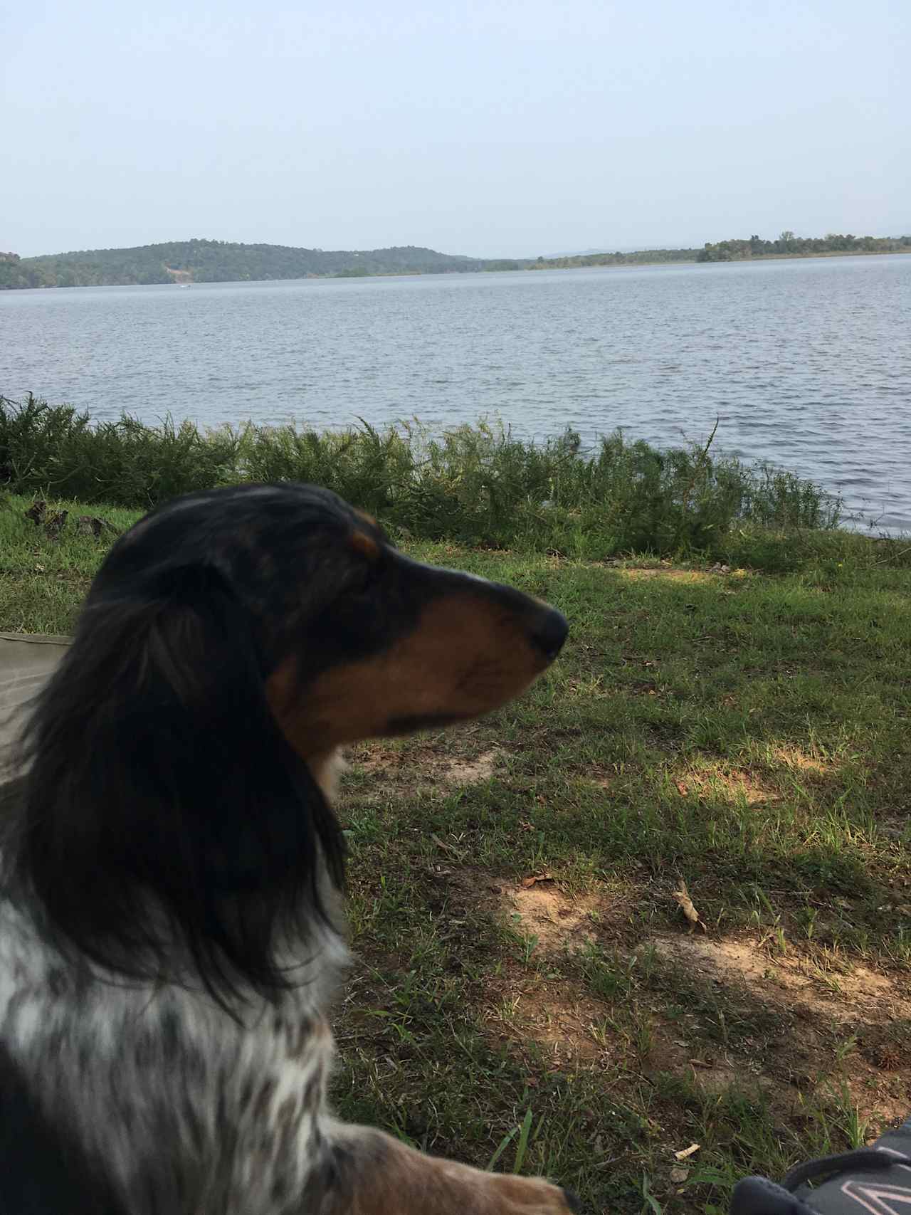 Piney Bay Campground