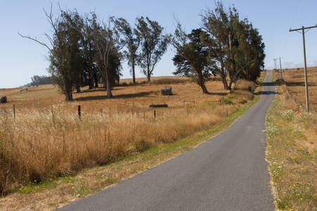 Stemple Creek Ranch