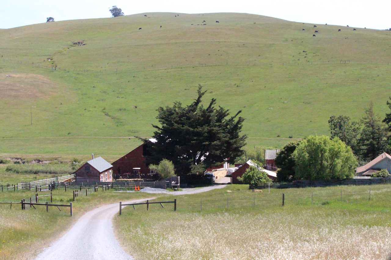 Stemple Creek Ranch