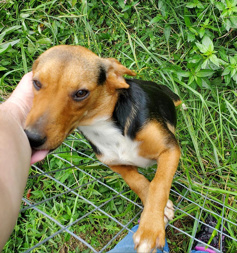 Just wanting some love