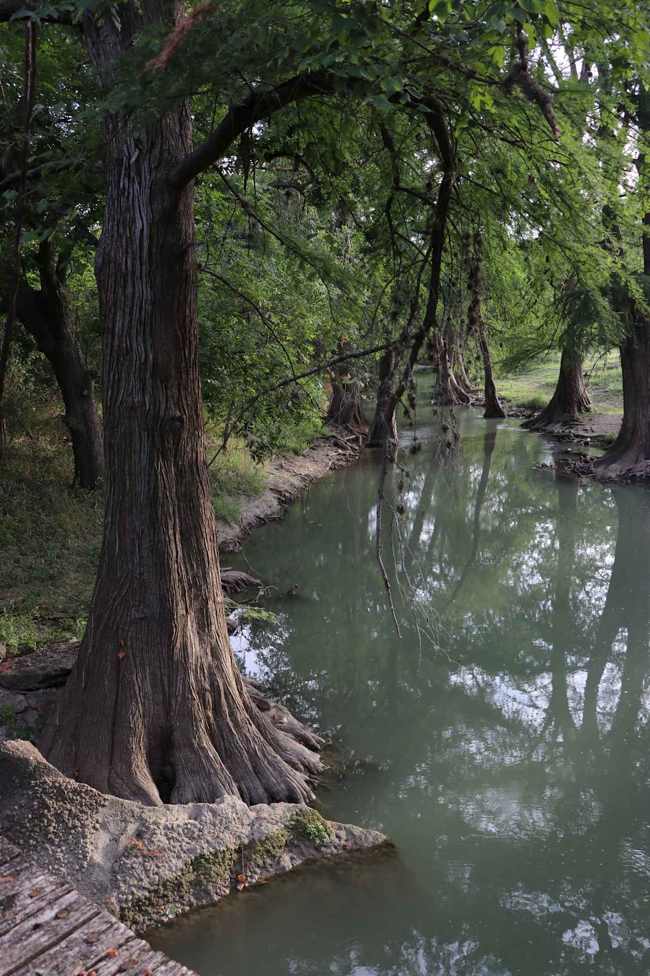 Alamo River RV Resort