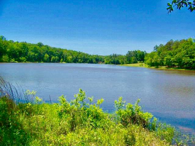 80 Acre Lake