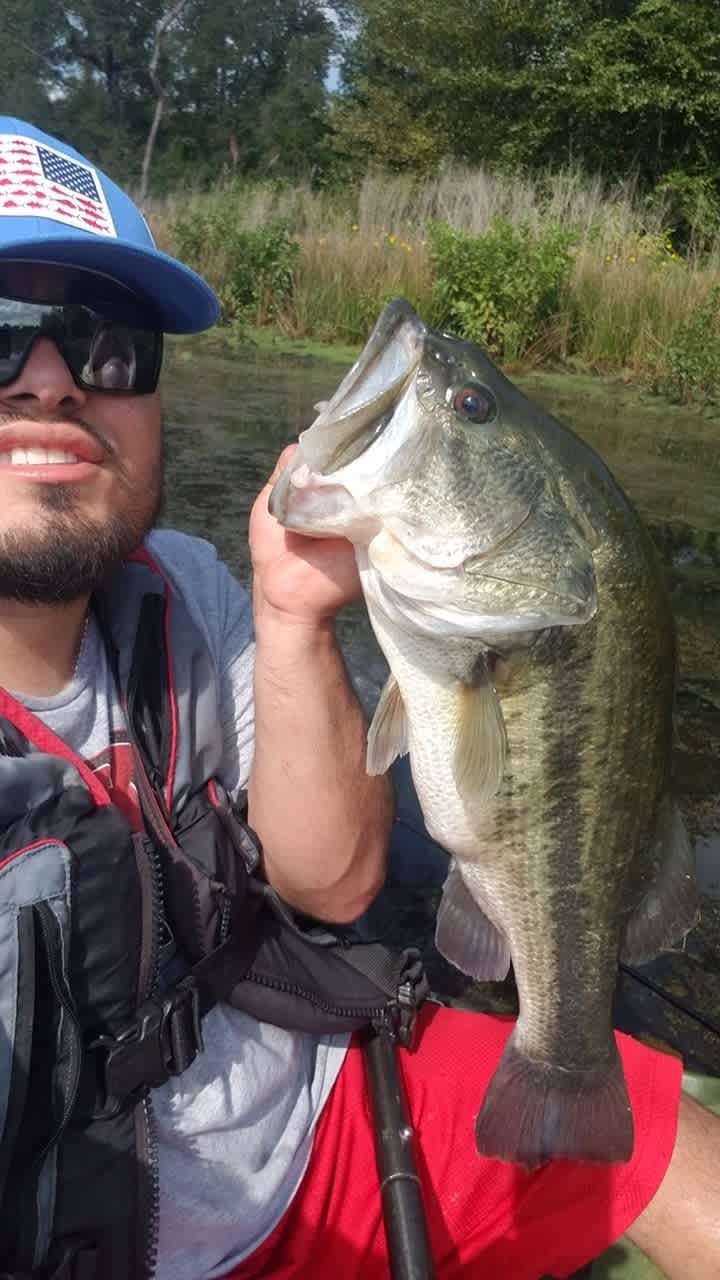 6 lbs, 4 oz! Catch of the weekend 